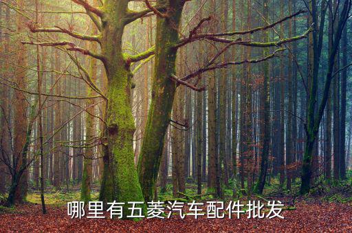 哪里有五菱汽车配件批发