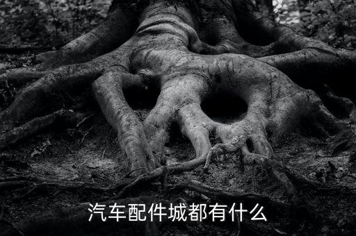 汽车配件城都有什么