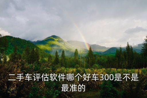 二手车评估软件哪个好车300是不是最准的