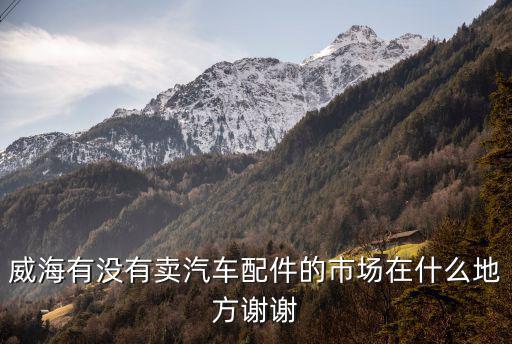 威海有没有卖汽车配件的市场在什么地方谢谢