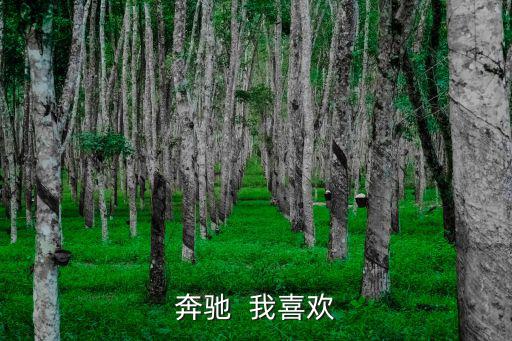 奔驰  我喜欢