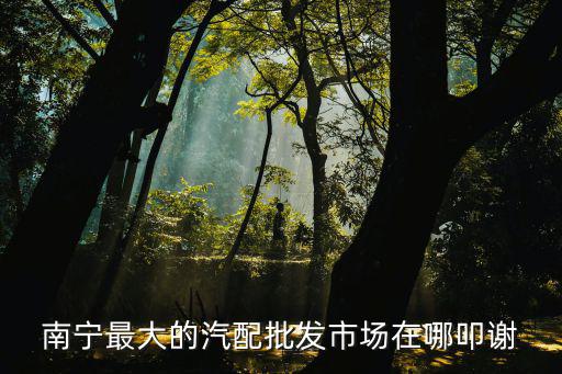 南宁最大的汽配批发市场在哪叩谢