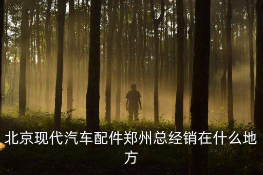 北京现代汽车配件郑州总经销在什么地方