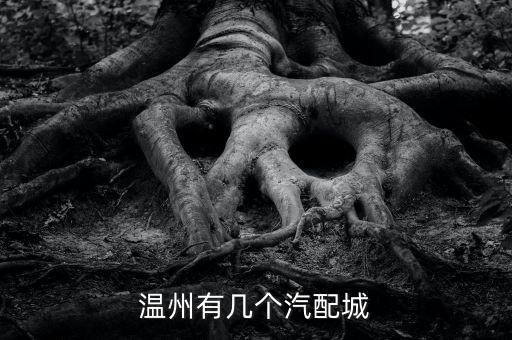 温州汽车配件批发市场地址查询，温州有几个汽配城