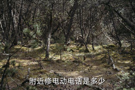 附近修电动电话是多少