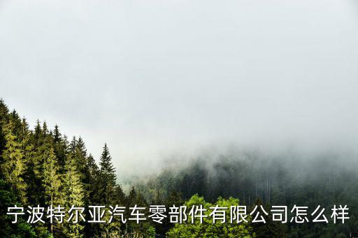 宁波特尔亚汽车零部件有限公司怎么样