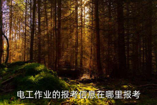 电工作业的报考信息在哪里报考