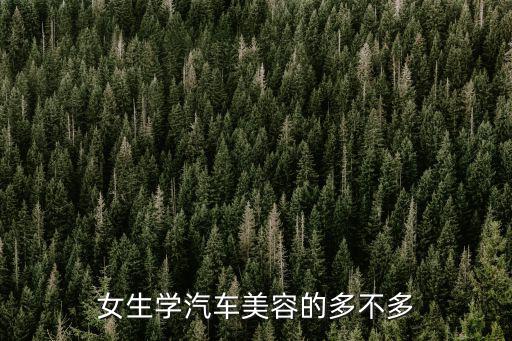 女生学汽车美容的多不多
