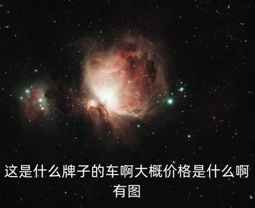 这是什么牌子的车啊大概价格是什么啊有图