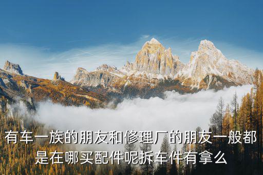 有车一族的朋友和修理厂的朋友一般都是在哪买配件呢拆车件有拿么