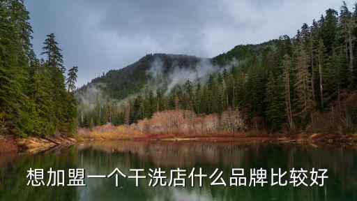 想加盟一个干洗店什么品牌比较好