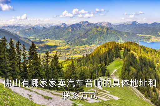 佛山有哪家家卖汽车音响的具体地址和联系方式