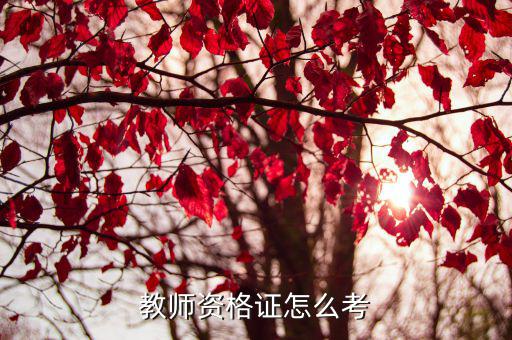 教师资格证怎么考