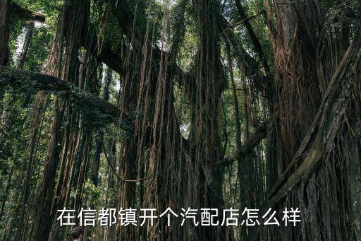 在信都镇开个汽配店怎么样