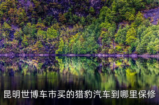 昆明世博车市买的猎豹汽车到哪里保修