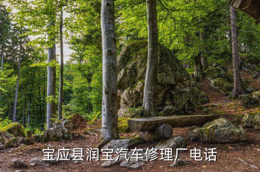 宝应县润宝汽车修理厂电话