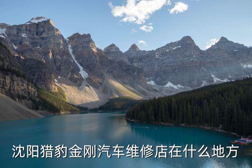沈阳猎豹金刚汽车维修店在什么地方