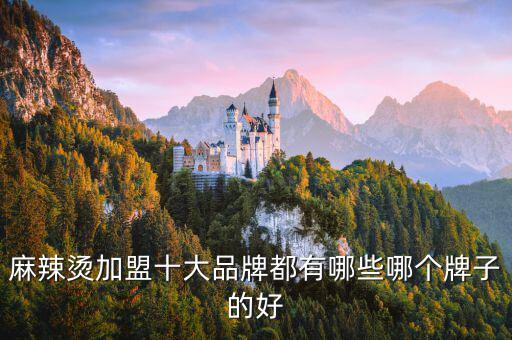 麻辣烫加盟十大品牌都有哪些哪个牌子的好