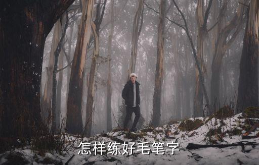 怎样练好毛笔字