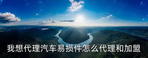 我想代理汽车易损件怎么代理和加盟
