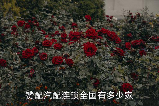 赞配汽配连锁全国有多少家