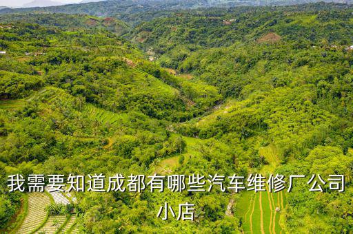 我需要知道成都有哪些汽车维修厂公司小店