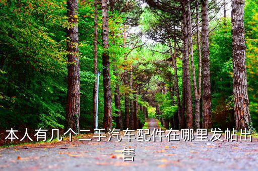 本人有几个二手汽车配件在哪里发帖出售