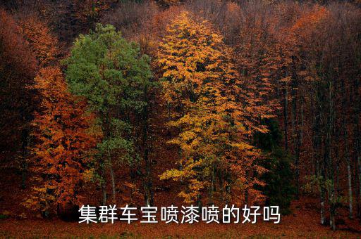 集群车宝喷漆喷的好吗