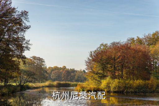 杭州尼桑汽配