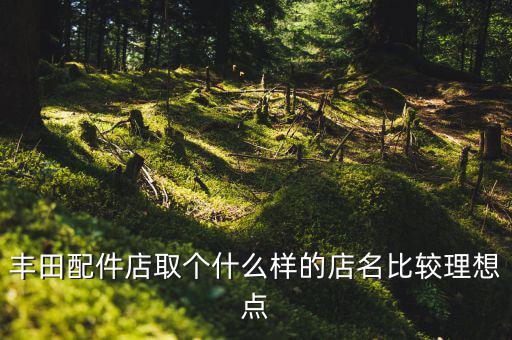 丰田配件店取个什么样的店名比较理想点