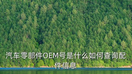 汽车零部件OEM号是什么如何查询配件信息