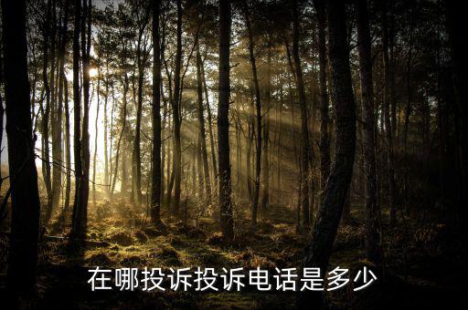 上汽名爵厂家投诉电话，投诉4s店打甚么电话