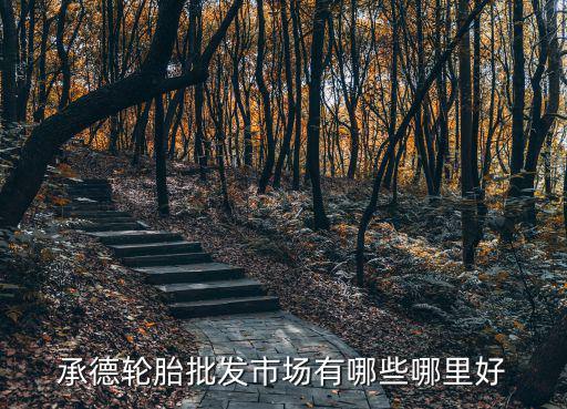 承德轮胎批发市场有哪些哪里好