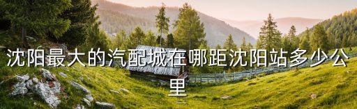 沈阳汽配城哪个最大最全，沈阳最大的汽配城在哪距沈阳站多少公里