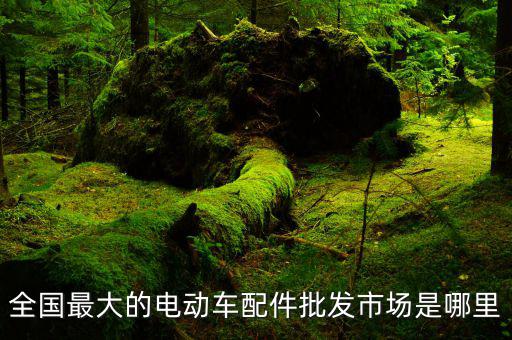 全国最大的电动车配件批发市场是哪里