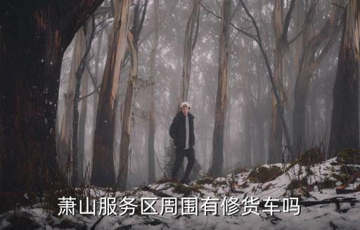 萧山服务区周围有修货车吗