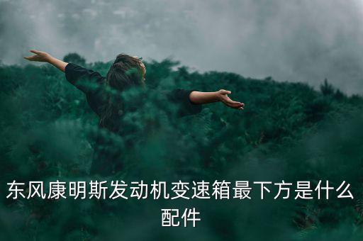 东风康明斯发动机变速箱最下方是什么配件