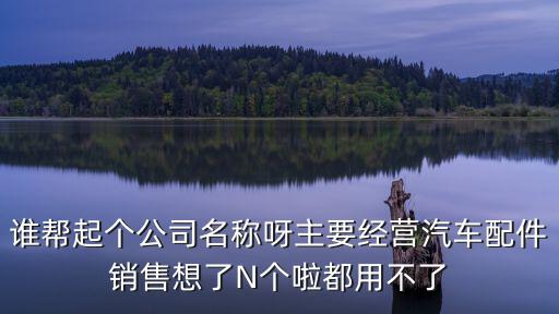 谁帮起个公司名称呀主要经营汽车配件销售想了N个啦都用不了