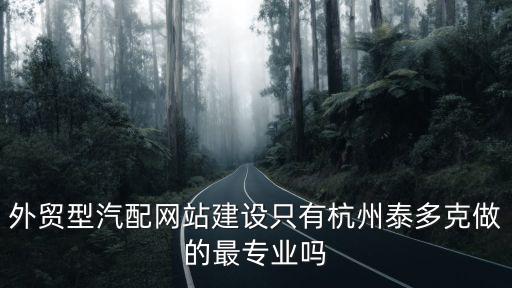 外贸型汽配网站建设只有杭州泰多克做的最专业吗