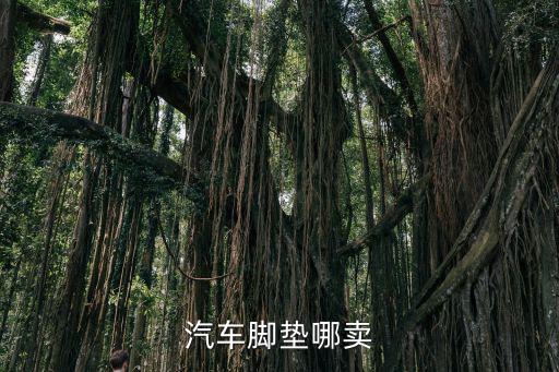 汽车脚垫哪卖