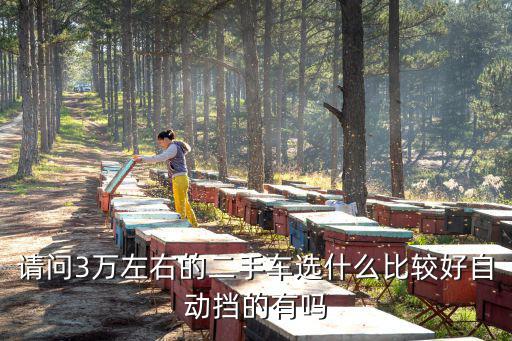 请问3万左右的二手车选什么比较好自动挡的有吗
