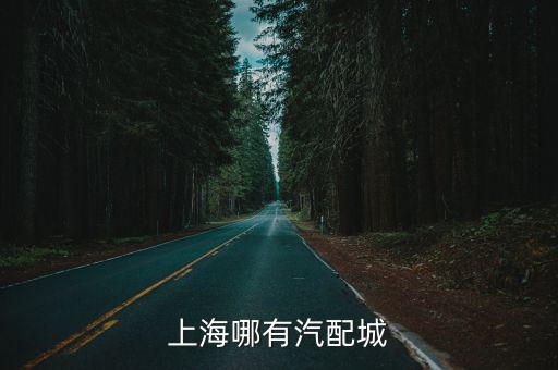 上海哪有汽配城