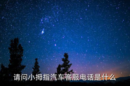 请问小拇指汽车客服电话是什么