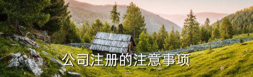 公司注册的注意事项