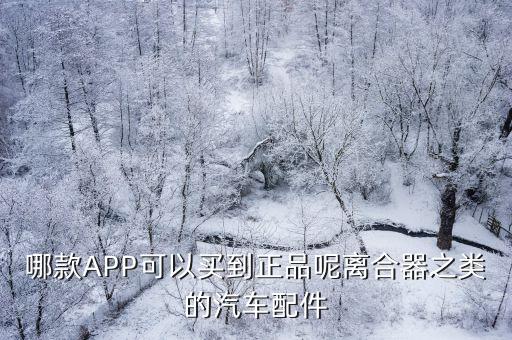 哪款APP可以买到正品呢离合器之类的汽车配件