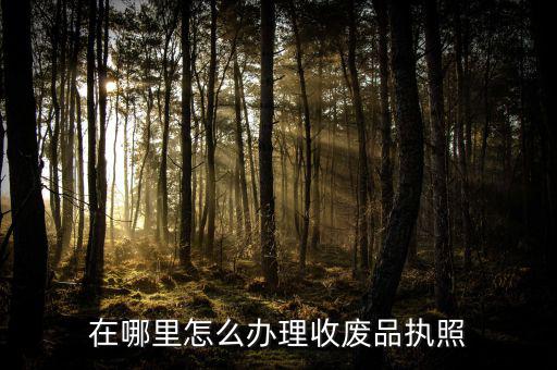在哪里怎么办理收废品执照
