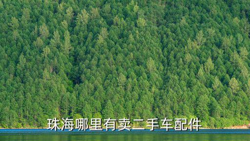哪里能买到二手汽车配件，深圳哪里有卖二手汽车配件的和电子产品 谢谢