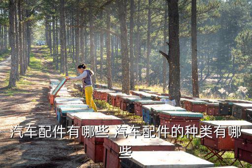 汽车配件有哪些 汽车配件的种类有哪些