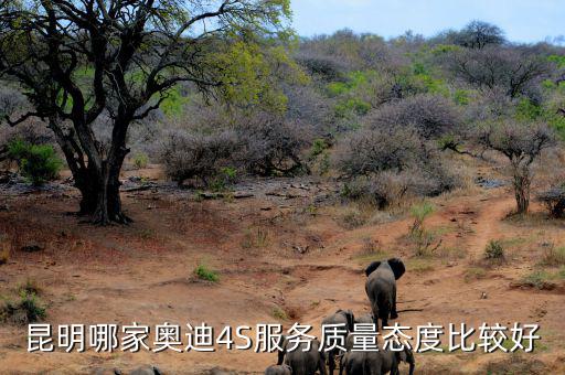 昆明哪家奥迪4S服务质量态度比较好