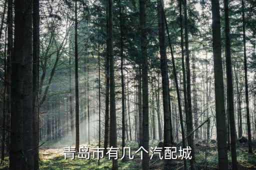 青岛市有几个汽配城